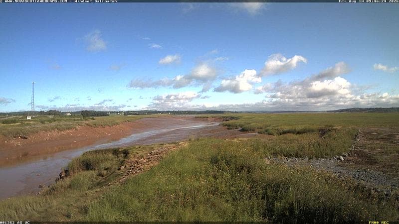 Windsor Salt Marsh