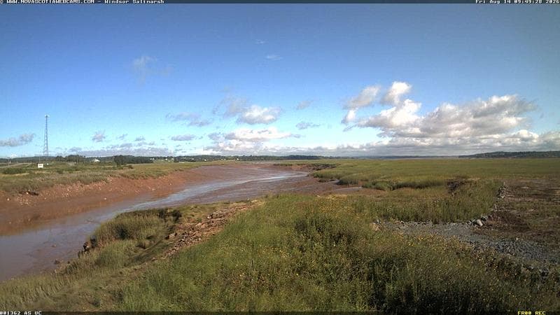 Windsor Salt Marsh