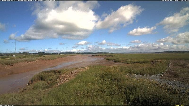 Windsor Salt Marsh