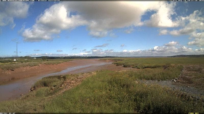 Windsor Salt Marsh
