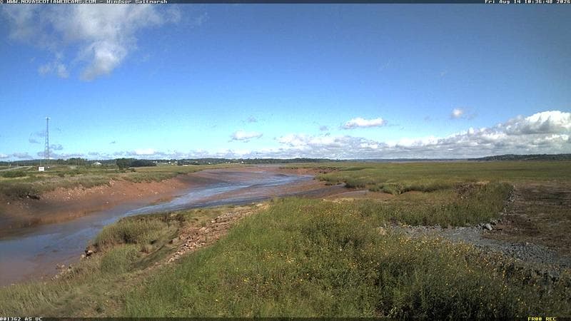 Windsor Salt Marsh