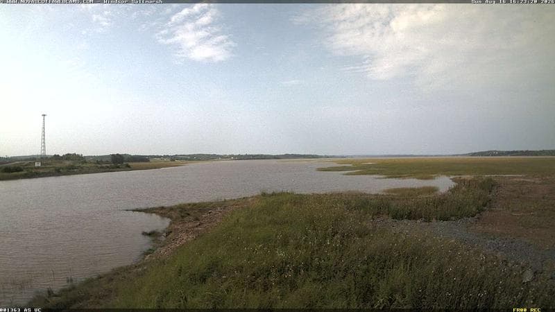 Windsor Salt Marsh