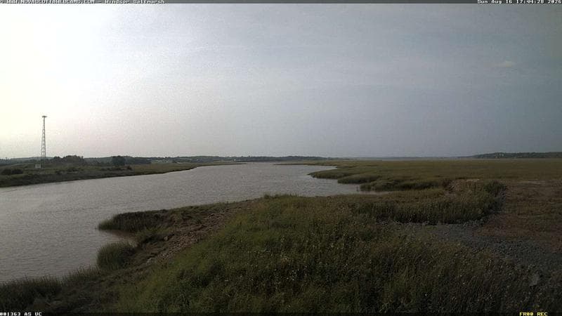 Windsor Salt Marsh