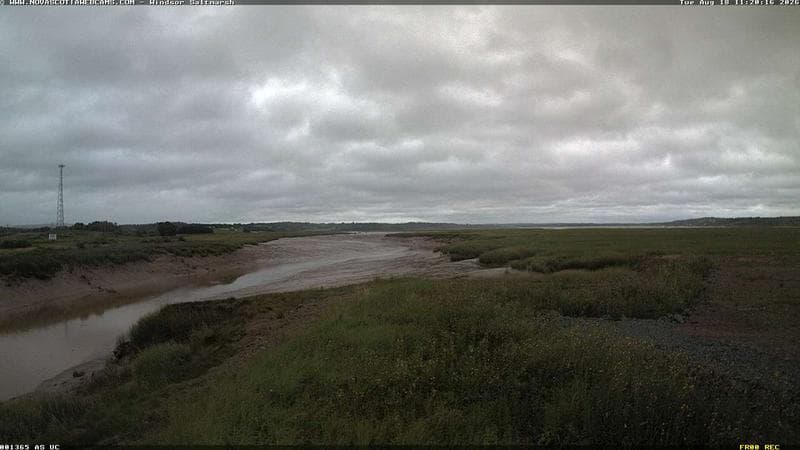 Windsor Salt Marsh