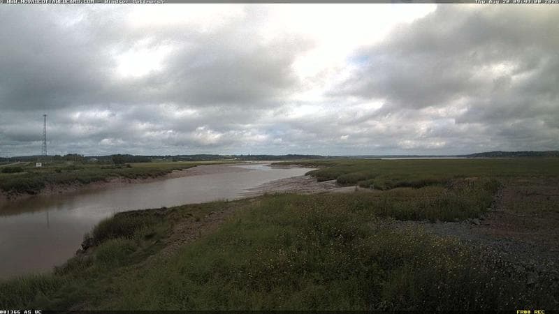 Windsor Salt Marsh