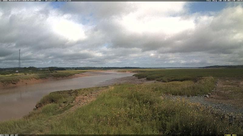 Windsor Salt Marsh
