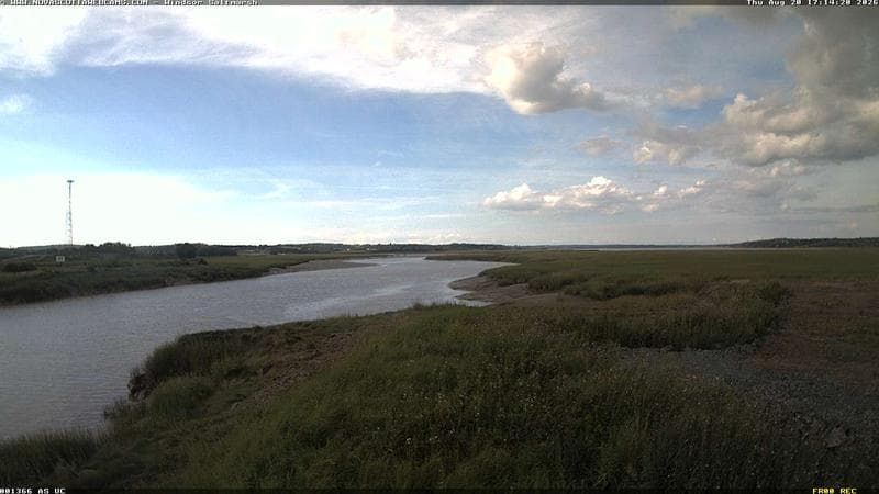 Windsor Salt Marsh