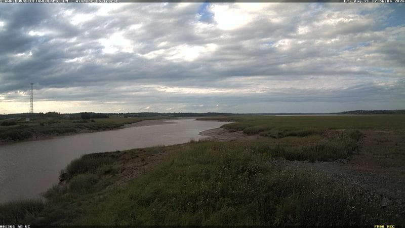 Windsor Salt Marsh