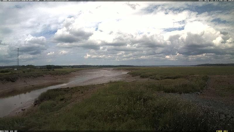 Windsor Salt Marsh
