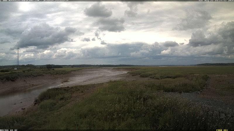Windsor Salt Marsh