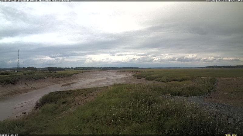 Windsor Salt Marsh
