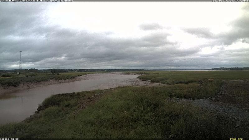 Windsor Salt Marsh