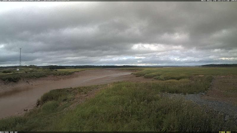 Windsor Salt Marsh