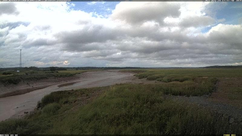 Windsor Salt Marsh
