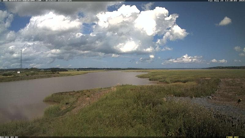 Windsor Salt Marsh