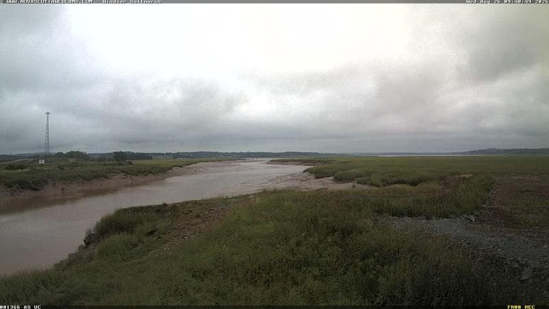 Windsor Salt Marsh