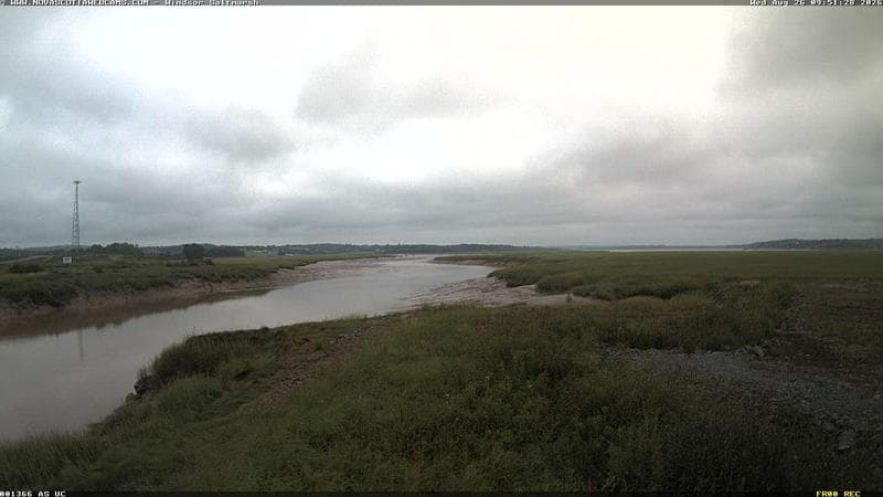 Windsor Salt Marsh