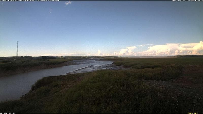 Windsor Salt Marsh