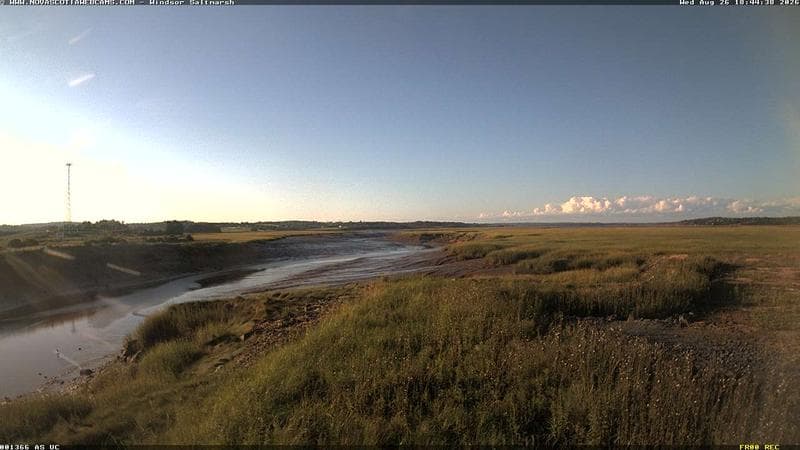 Windsor Salt Marsh