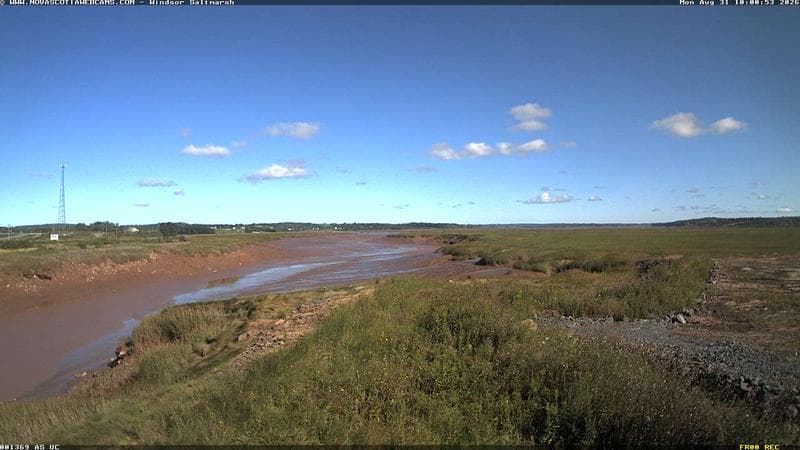 Windsor Salt Marsh