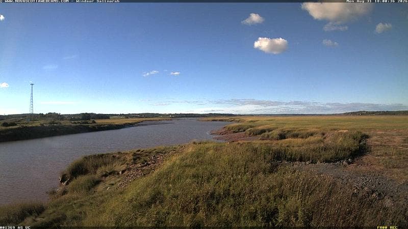 Windsor Salt Marsh