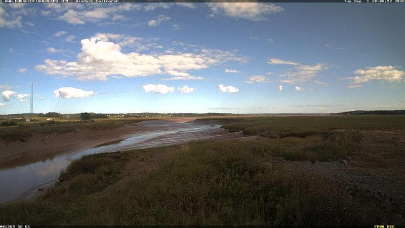 Windsor Salt Marsh