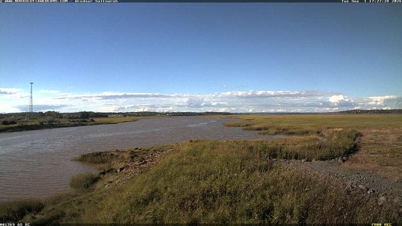 Windsor Salt Marsh