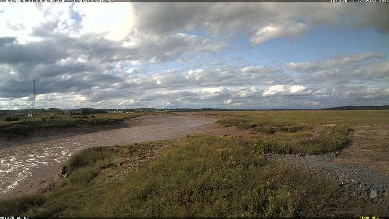 Windsor Salt Marsh