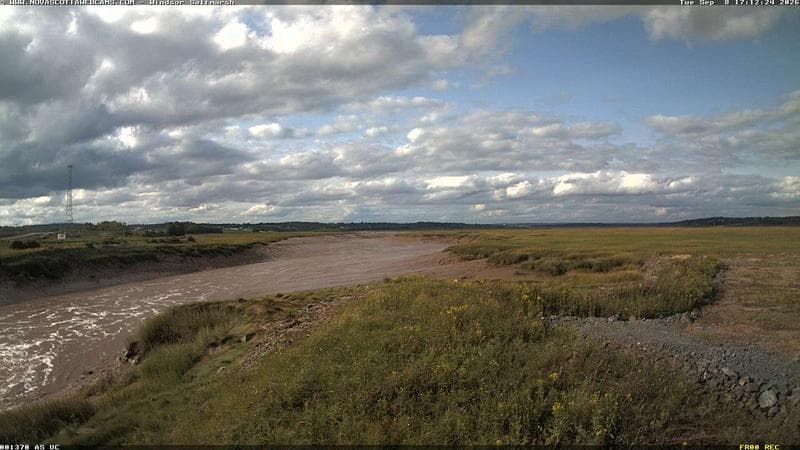 Windsor Salt Marsh