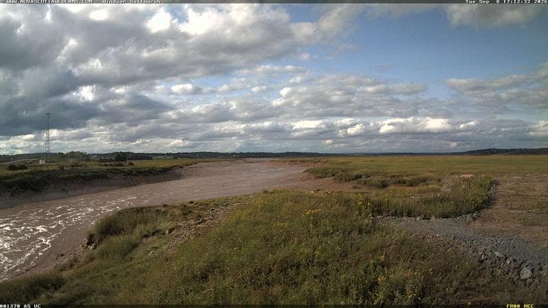 Windsor Salt Marsh
