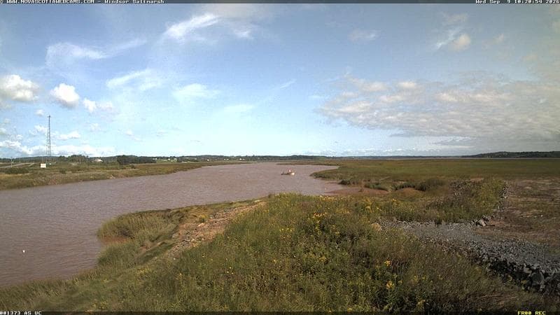 Windsor Salt Marsh