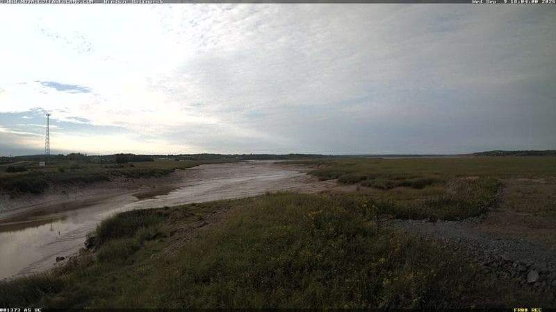 Windsor Salt Marsh