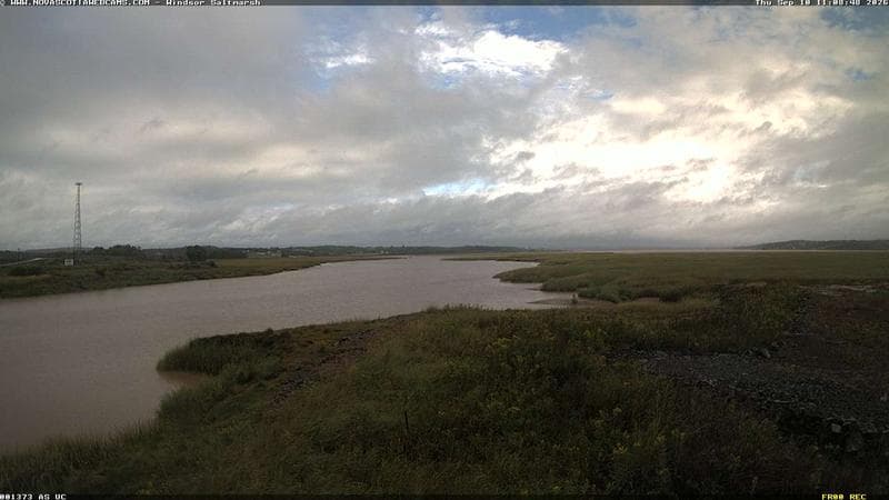 Windsor Salt Marsh