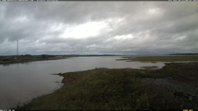 Windsor Salt Marsh