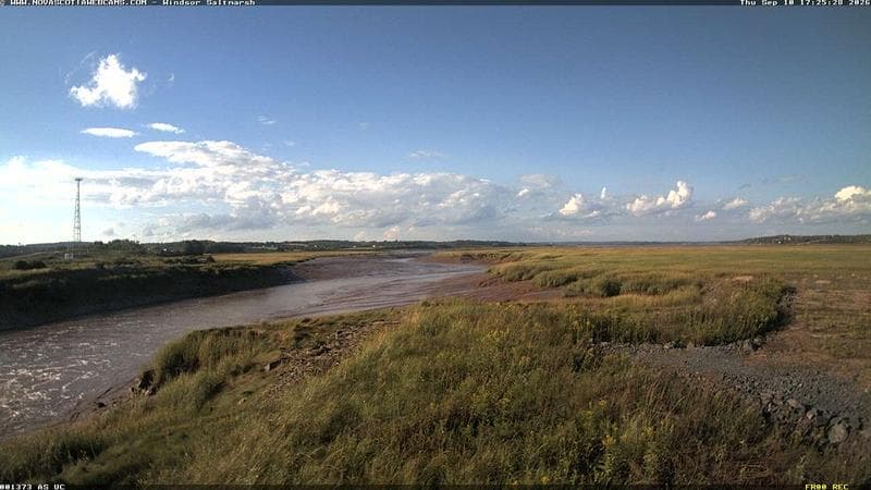 Windsor Salt Marsh