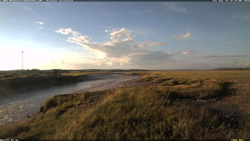 Windsor Salt Marsh