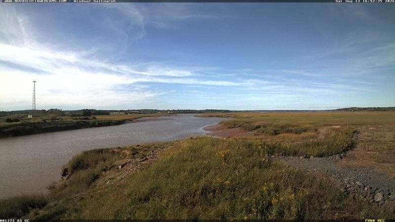 Windsor Salt Marsh