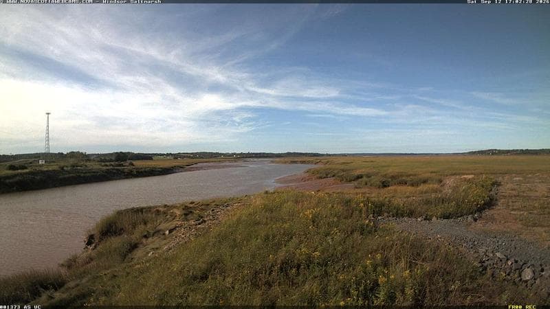 Windsor Salt Marsh