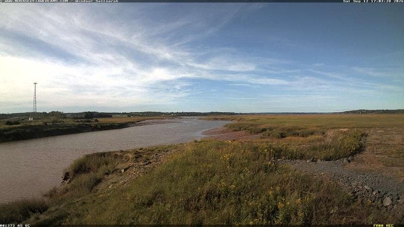Windsor Salt Marsh