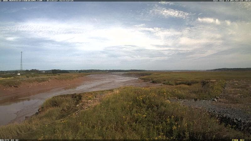Windsor Salt Marsh