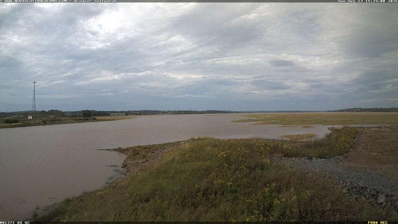 Windsor Salt Marsh