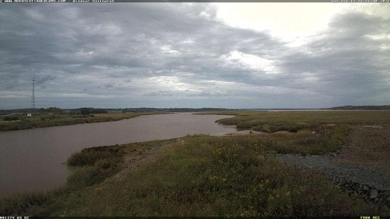 Windsor Salt Marsh