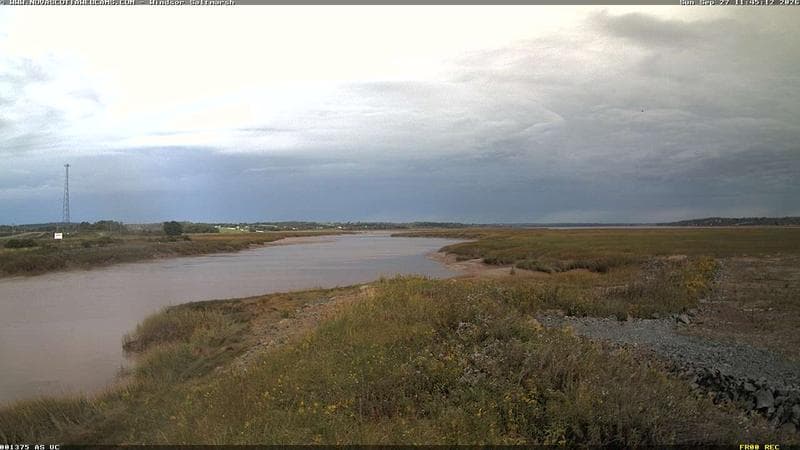 Windsor Salt Marsh