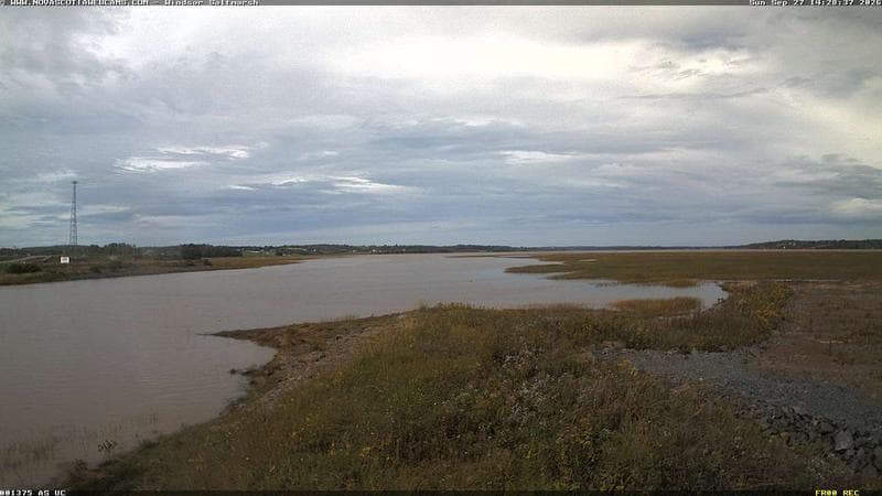 Windsor Salt Marsh