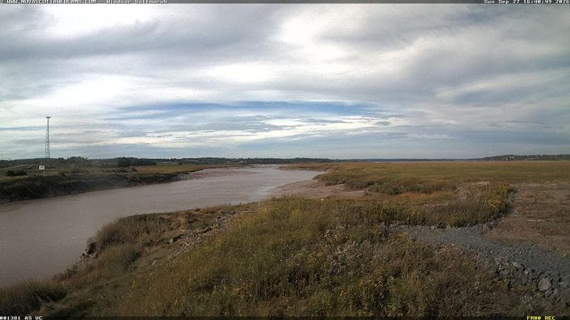 Windsor Salt Marsh