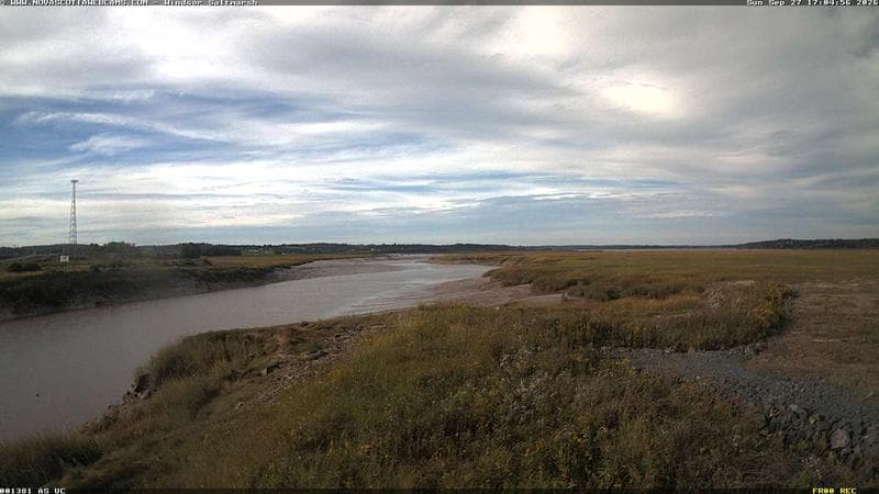 Windsor Salt Marsh