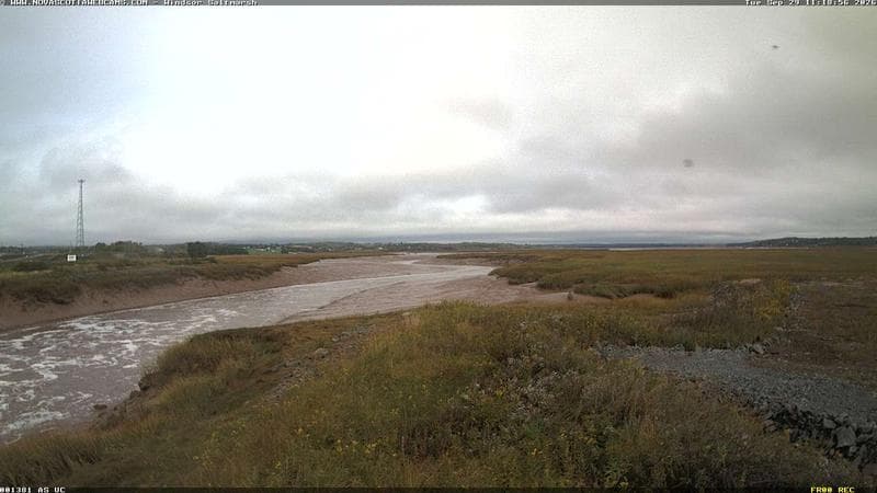 Windsor Salt Marsh