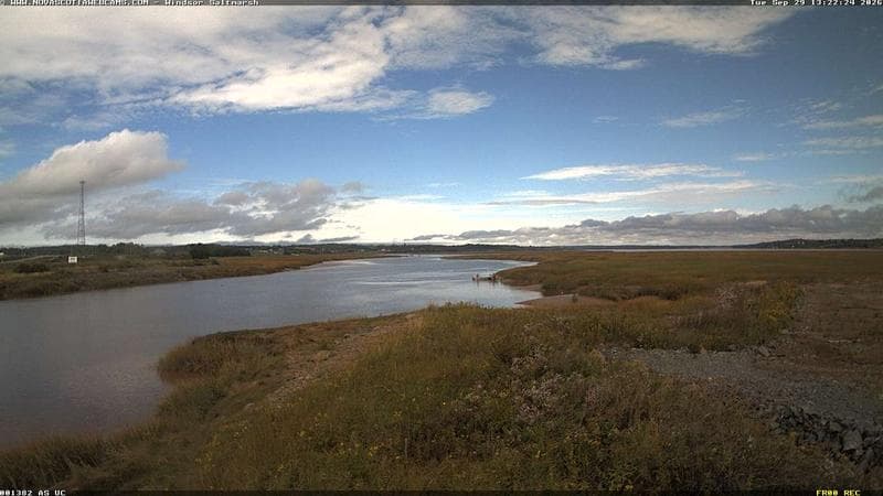 Windsor Salt Marsh