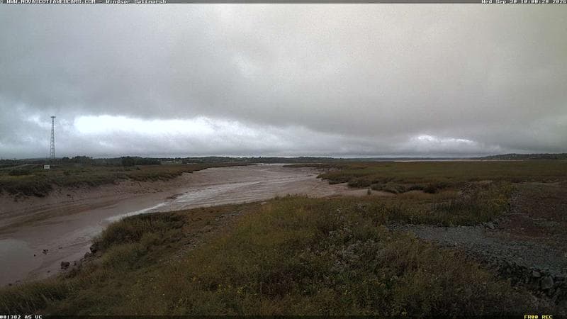 Windsor Salt Marsh