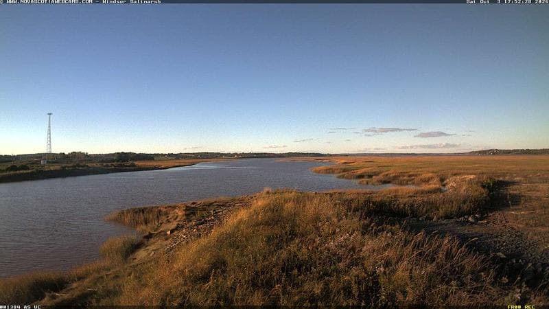 Windsor Salt Marsh